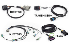 Load image into Gallery viewer, Haltech NEXUS Rebel LS Kit (Suits Gen IV) 6-Pin DBW Throttle/EV6 Injectors/Manual Transmission