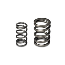 Load image into Gallery viewer, Skunk2 Tuner Series Honda/Acura (B16A/ B17A/ B18C) DOHC VTEC Alpha Valve Spring Set (Dual Springs)