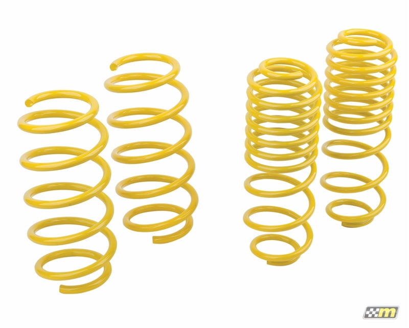 mountune Sport Spring Set 2014-2015 Fiesta ST